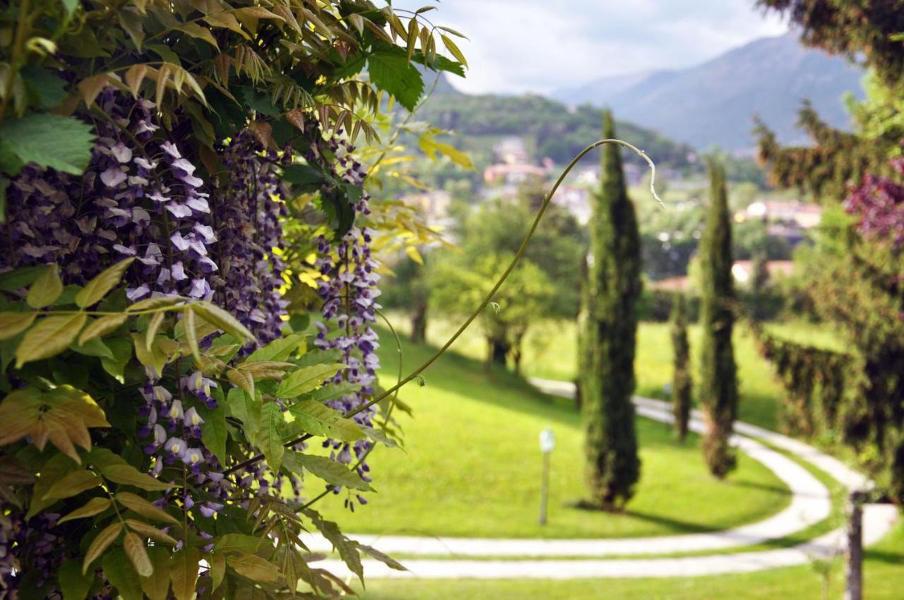 Casa Vacanze Il Noce Sovere Bagian luar foto